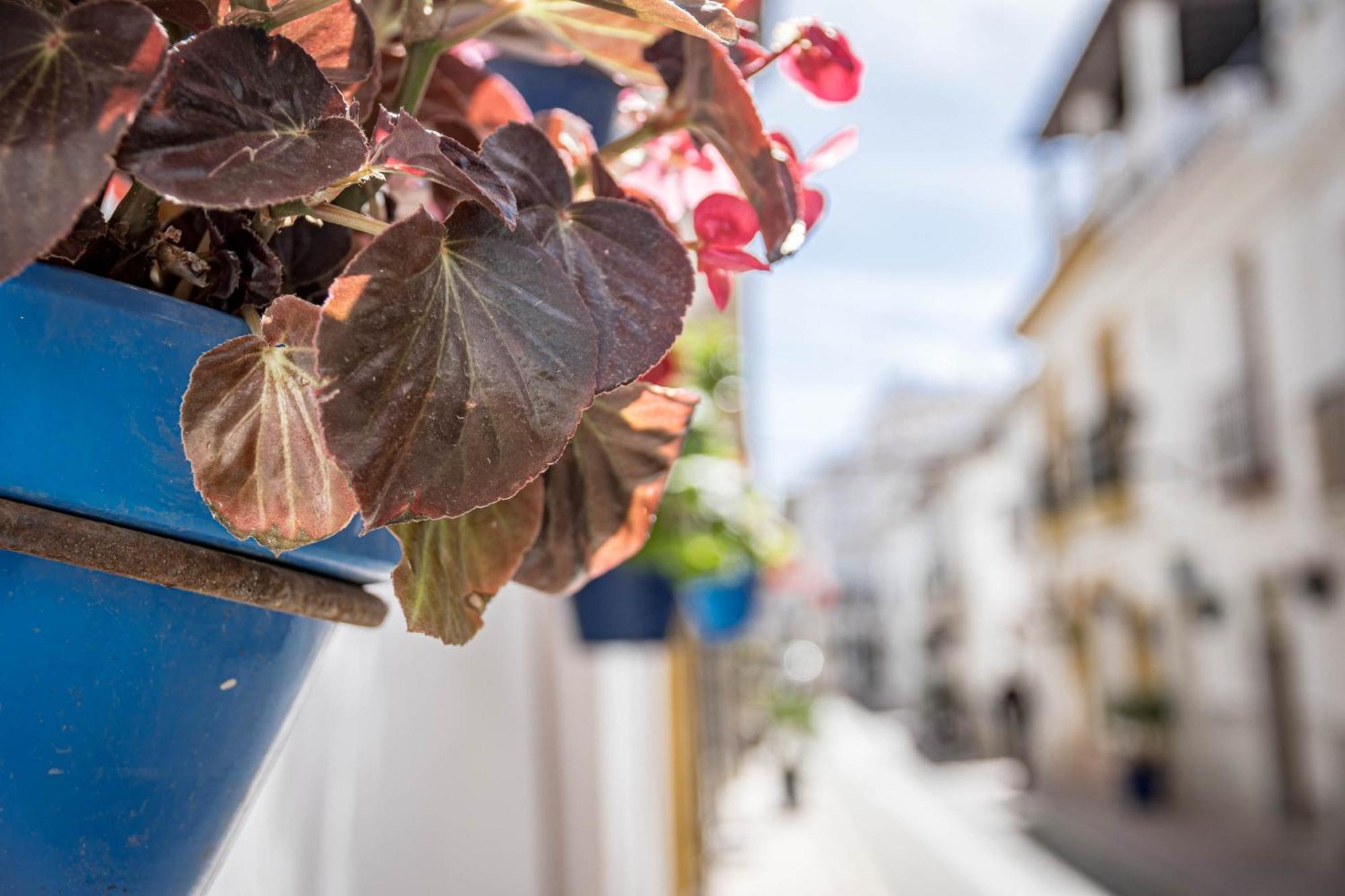 Seaclub Suites Estepona Luaran gambar
